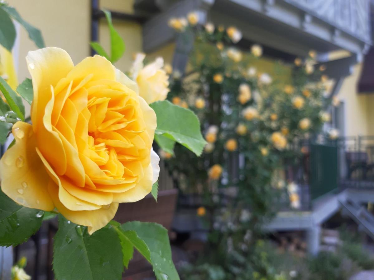 Appartement Genigau Wagrain Eksteriør bilde